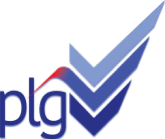 Panamerican Logistics Group de El Salvador